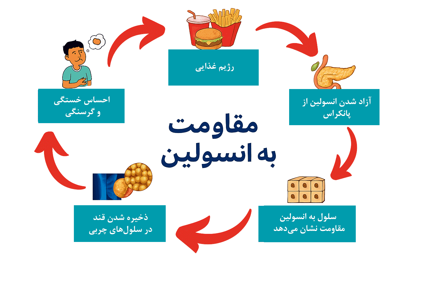 مقومت به انسولین دکتر سپهری