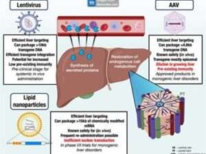 سلامت متابولیک